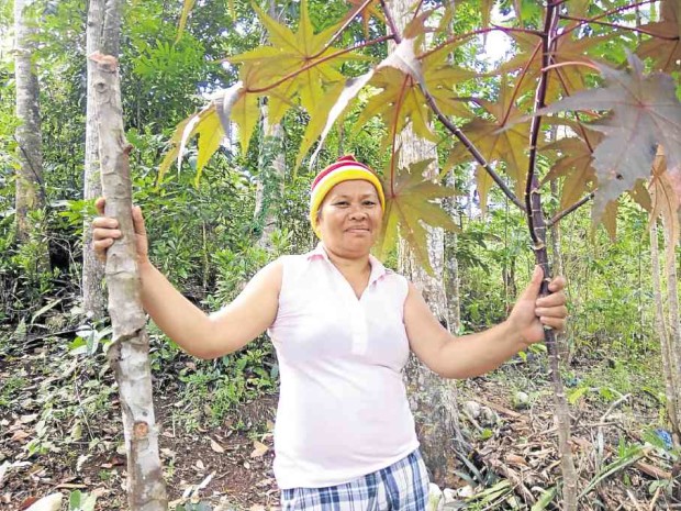 Diosdada Ponce-Montecillo helps gather healing herbs.