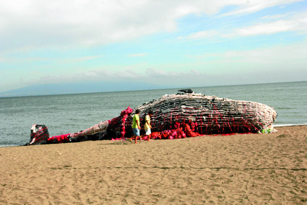 Residents of Naic, Cavite woke up to this sight of a dead whale which turned out to be an art installation put up to raise awareness on pollution caused by plastics worldwide. —LYN RILLON