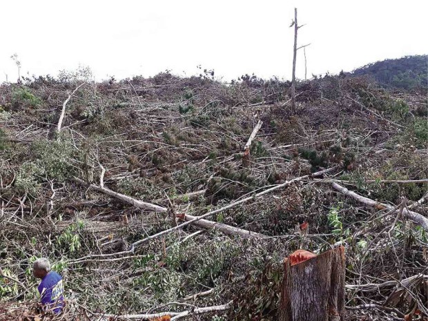 A section of the mine site of Ipilan Mining Corp. in Brooke’s Point, Palawan province, has been cleared of trees. —CONTRIBUTED PHOTO