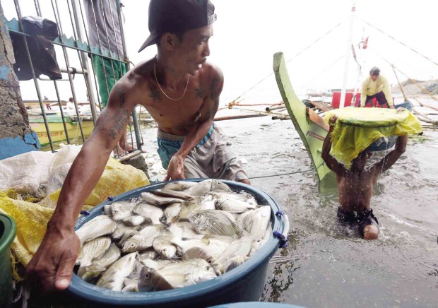 BOUNTY FROM THE SEA Local scientists are proposing the creation of a new Department of Fisheries and Aquatic Resources to safeguard the country’s marine resources in order to feed a growing population. —MARIANNE BERMUDEZ 