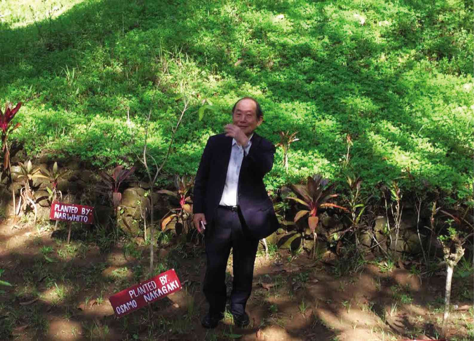 Using mango seeds, Japanese creates forest in La Union Inquirer News