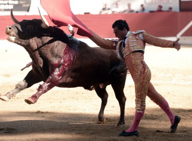 Bullfight-620x455.jpg
