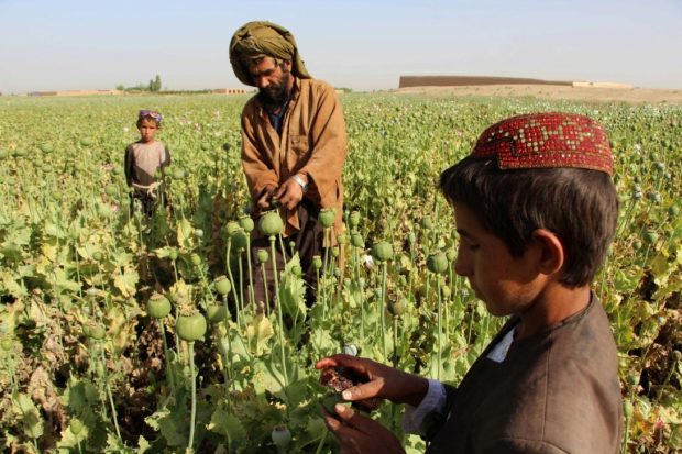 FILES-AFGHANISTAN-UNREST-DRUGS-TALIBAN