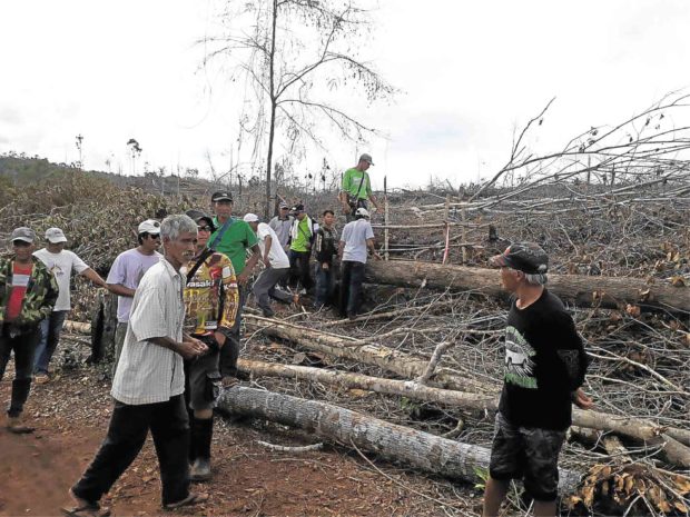 An inspection led by Brooke’s Point Mayor Mary Jean Feliciano in May discovered fallen trees in the concession area of Ipilan Nickel Corp. in Palawan province. —CONTRIBUTED PHOTO