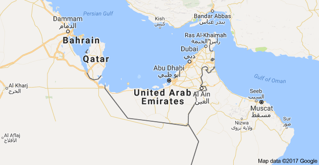 Rescue crew killed in helicopter crash — UAE