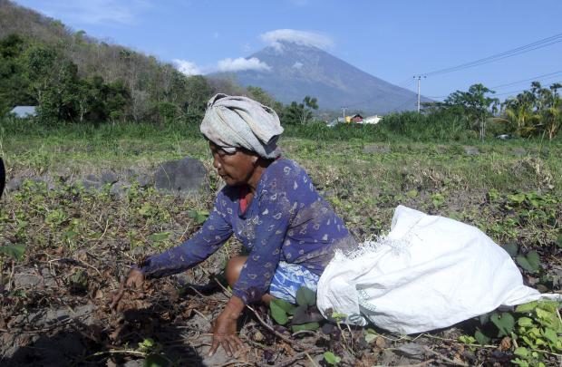 Woman working with Mount Agung in background - 26 Sept 2017