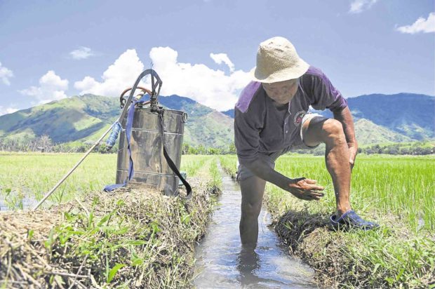 The NIA should be placed under the Department of Agriculture (DA), and not the Office of the President, a lawmaker said Tuesday.
