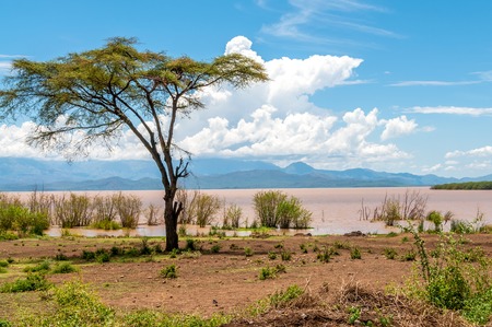 lake abaya, ethiopia