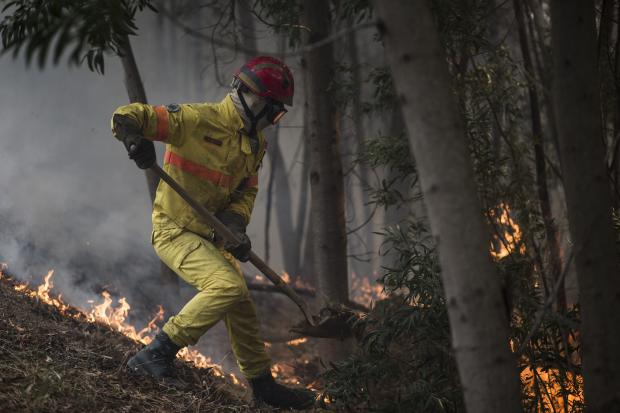 Firefighter in Portugal wildfire