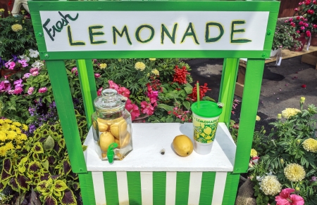 lemonade stand, cancer survivor