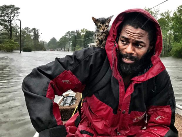 Man and kitten in flooded North Carolina