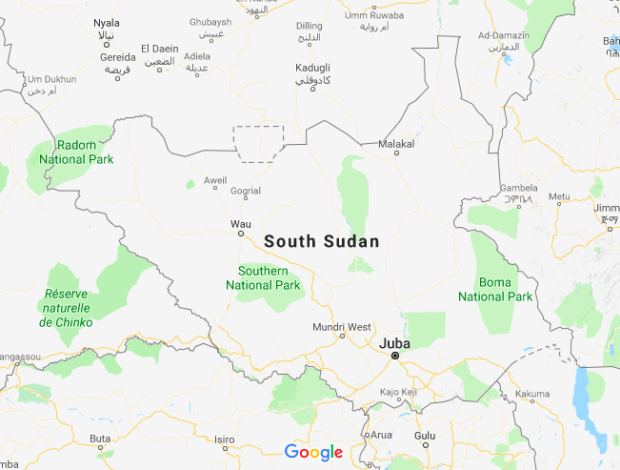 Five killed in South Sudan cargo plane crash