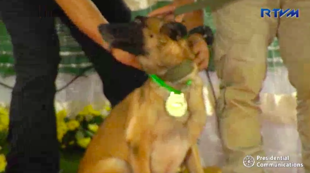 200 more K9s to bolster PDEA’s anti-drug campaign