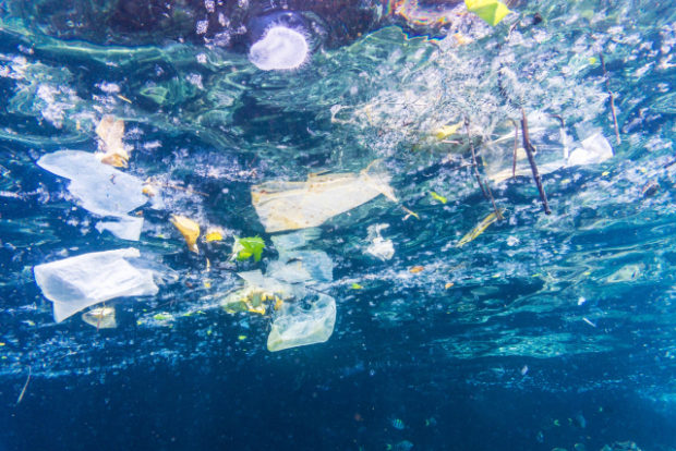 Packing material, disposable cutlery, CD cases: Polystyrene is among the most common forms of plastic, but recycling it isn't easy and the vast majority ends up in landfills or finds its way to the oceans where it threatens marine life.