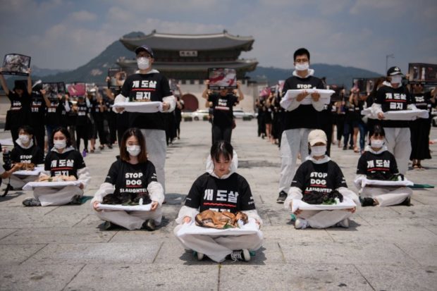 south korea Activists from animal rights groups 'Animal Liberation Wave' and 'Last Chance for Animals' hold dead puppies retrieved from a dog meat farm, as they protest against the dog meat trade in Gwanghwamun Plaza in central Seoul on July 17, 2018. (Photo by Ed JONES / AFP)