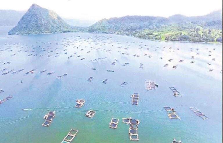 Fishkill hits cages in Taal Lake; owners lose P5M | Inquirer News