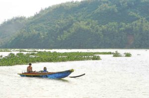 Featured article middle 5