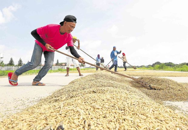 palay road