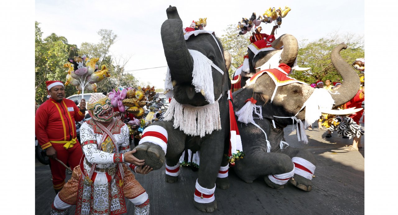 LOOK: Elephants dressed as Santa Claus help celebrate Christmas in Thailand