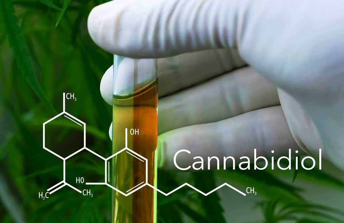 Hemp proposed as alternative to medical marijuana