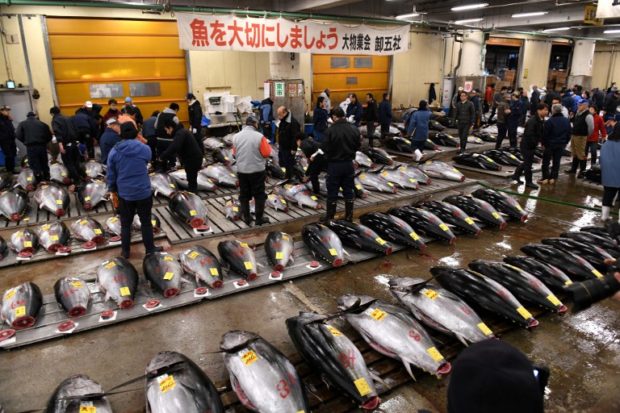 (FILES) This file photo taken on January 5, 2018 shows fishmongers checking bluefin tuna prior to the new year's first auction at the Tsukiji fish market in Tokyo. - The Tokyo government revealed a plan on January 23, 2019 to transform the site of the world-famous Tsukiji fish market -- which closed its doors last year after over 80 years -- into a conference centre. (Photo by Kazuhiro NOGI / AFP)