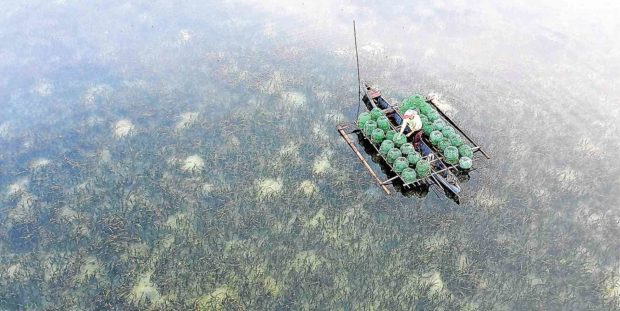 Red tide warning up in Surigao Del Sur’s Lianga Bay