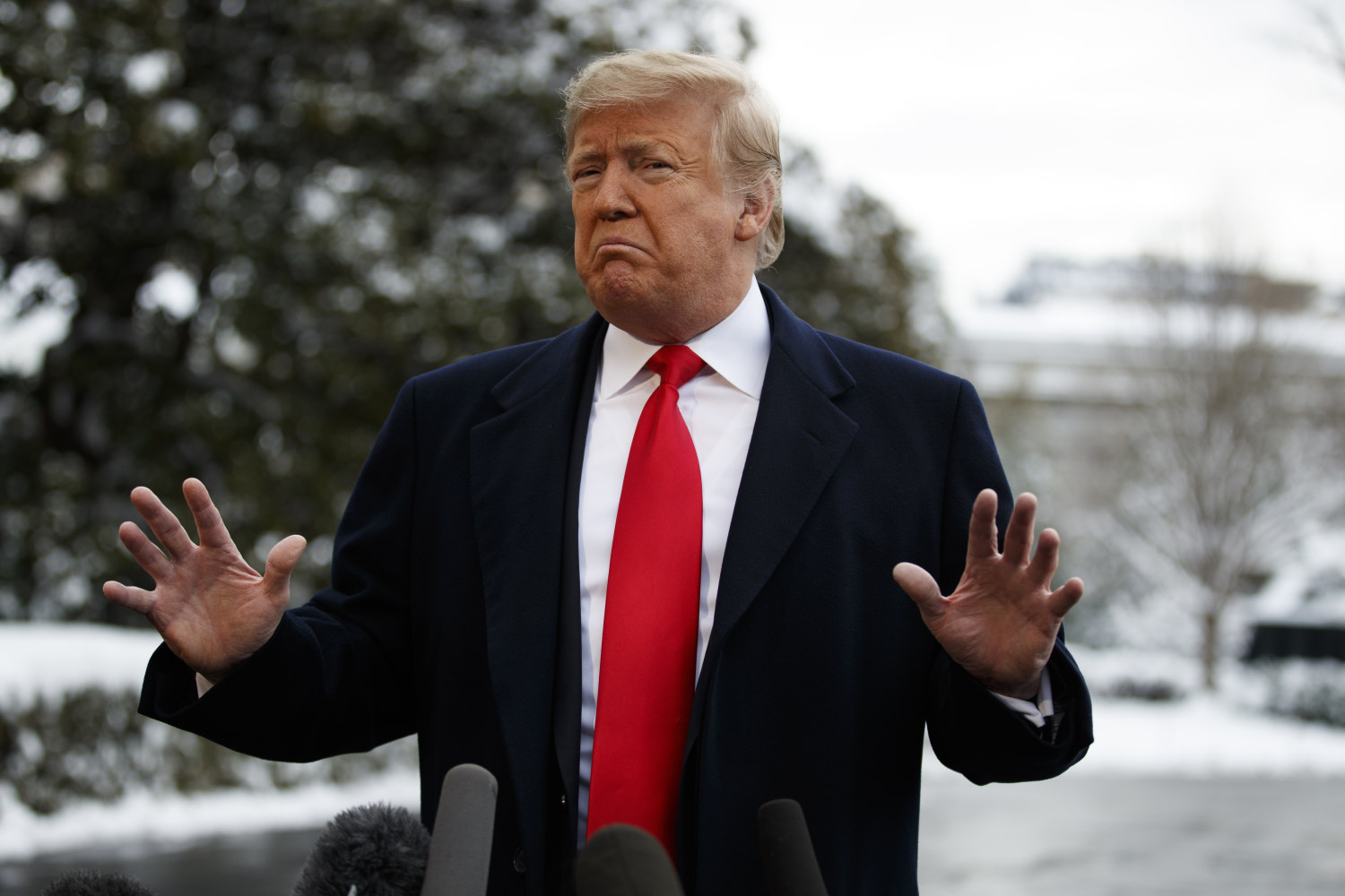 Trump declares he'll 'never back down' in shutdown fight