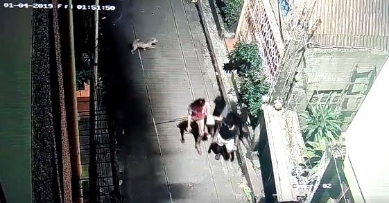 CCTV of dog about to chase Joshua Cabag and friends