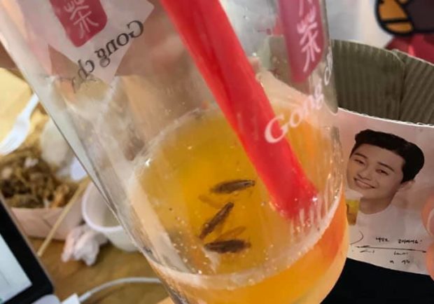 Customer finds 3 cockroaches in fruit tea