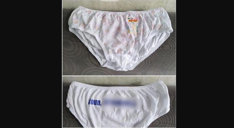 A panty for your vote? Comelec says underwear is allowed as campaign material