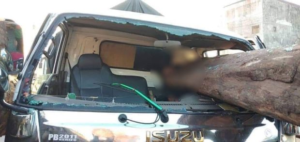Horrific road mishap: Log pins driver to death