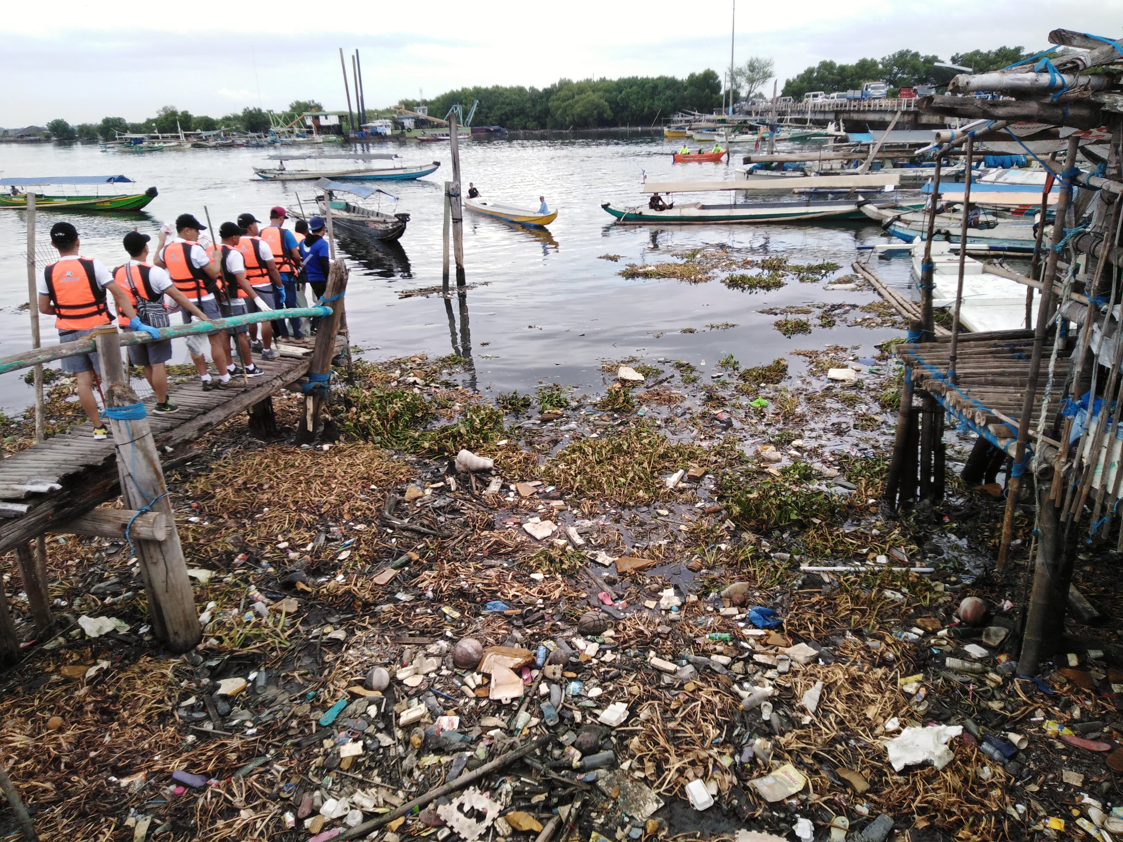 More firms closed over bay pollution