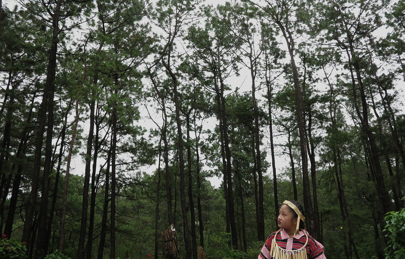 Save our pine trees, Baguio kids ask Duterte