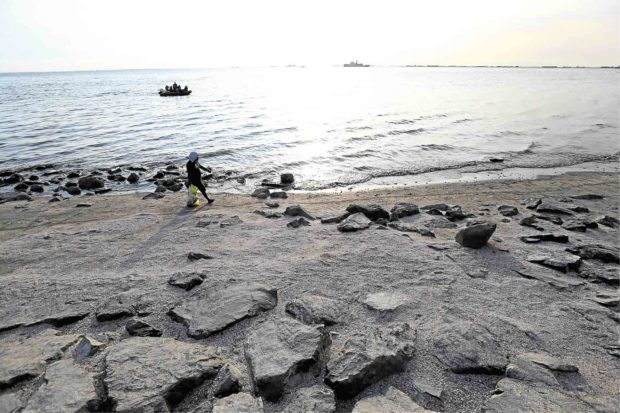 Gov’t processing 22 Manila Bay reclamation projects