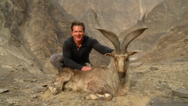 Hunter kills rare mountain goat