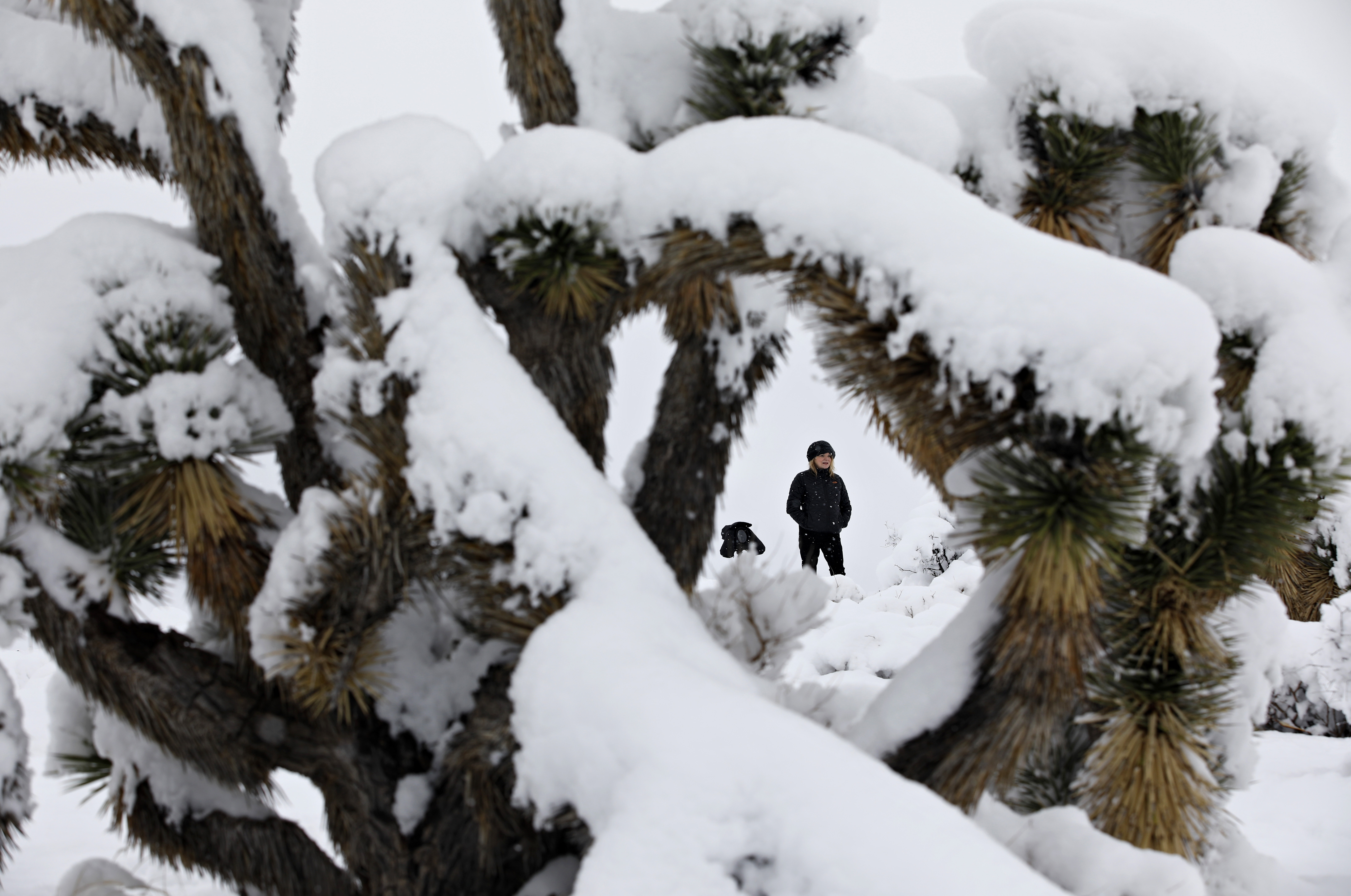 Storm dumps record-breaking snow in Arizona on way to Texas