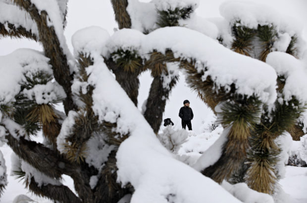  Winter storm brings record snowfall to parts of Arizona