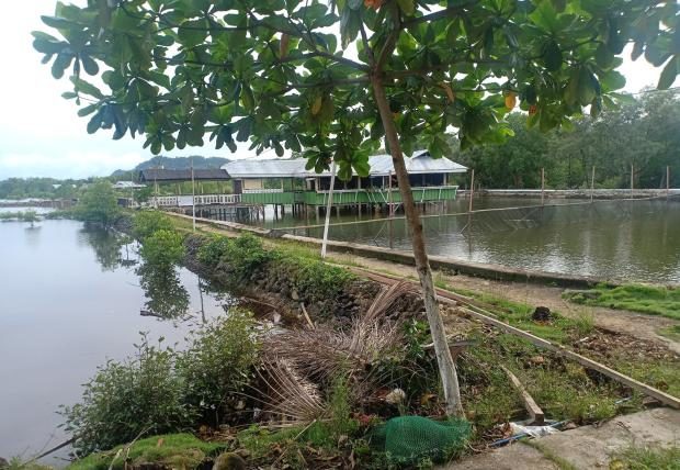 Fish pond near Surigao del Sur State University