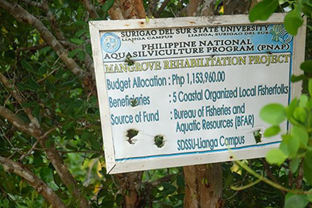 Mangrove Rehabilitation Program - Surigao del Sur State University sign
