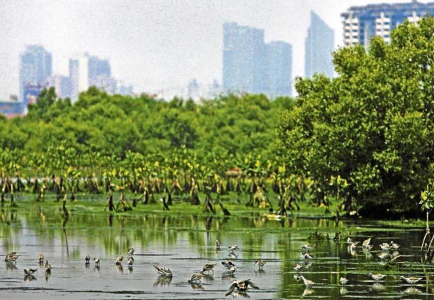 National policy to protect wetlands pushed