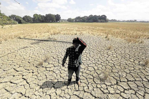 Crop damage, losses due to El Nino soar to P5.05 billion