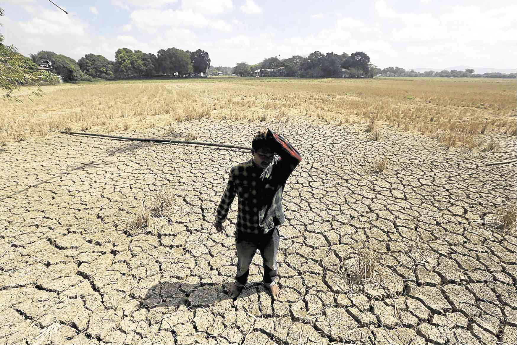Crop damage, losses due to El Nino soar to P5.05 billion Inquirer News