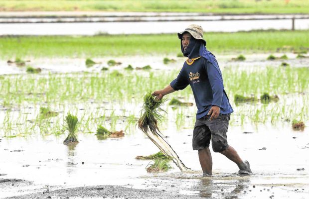 Water in Angat Dam enough for farms until May – NIA