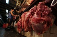 1 ASF case can wipe out 65% of Philippines’ hog trade