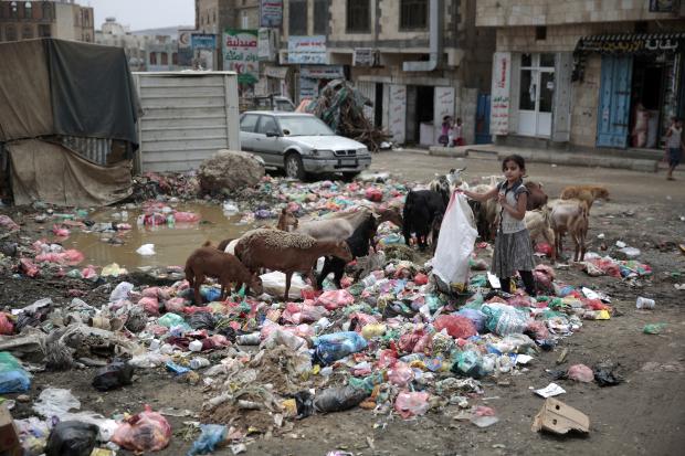 Girl scavenging in trash in Sanaa in Yemen