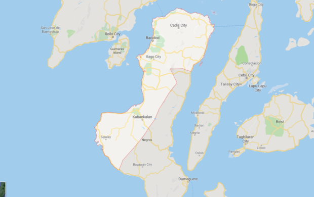 Negros Occidental town councilor, uncle ambushed on campaign trail