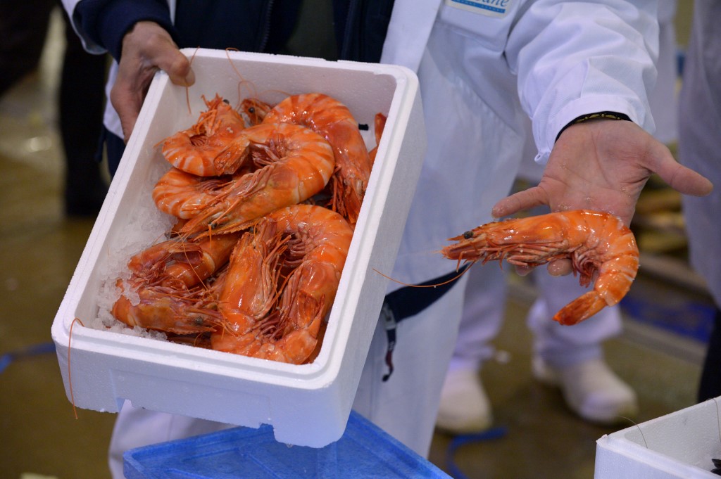 Cocaine, ketamine found in UK shrimp