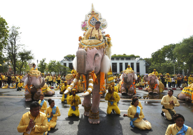 Elephants kneel in ritual tribute to Thailand's new king
