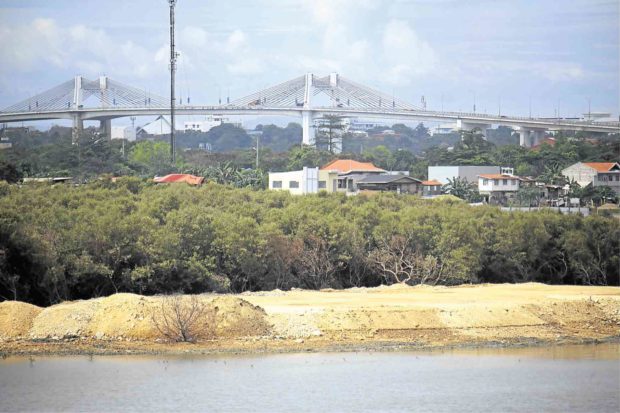 Cebu developer probed over mangrove cutting, reclamation