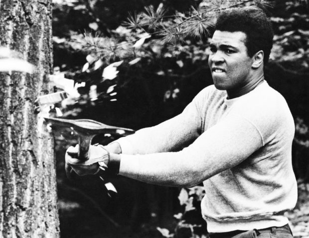  It's the greatest: Ali's training camp opens to public